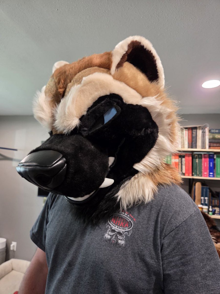 Jay Wolve tweet media