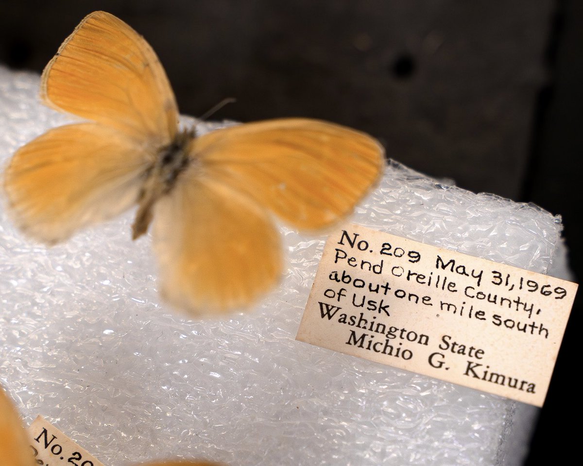 University of Washington tweet media