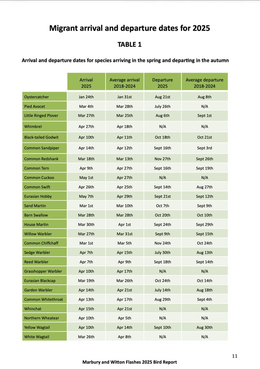 gregfjbaker's tweet photo. The @marburypatch bird report for 2025 is now available as a free pdf.  It has individual reviews for 144 species recorded, a monthly highlights overview and tables covering migrant arrival and departure dates. Thanks t all sightings and image contributors.  @CAWOSBirding https://t.co/jto2gmxcmj