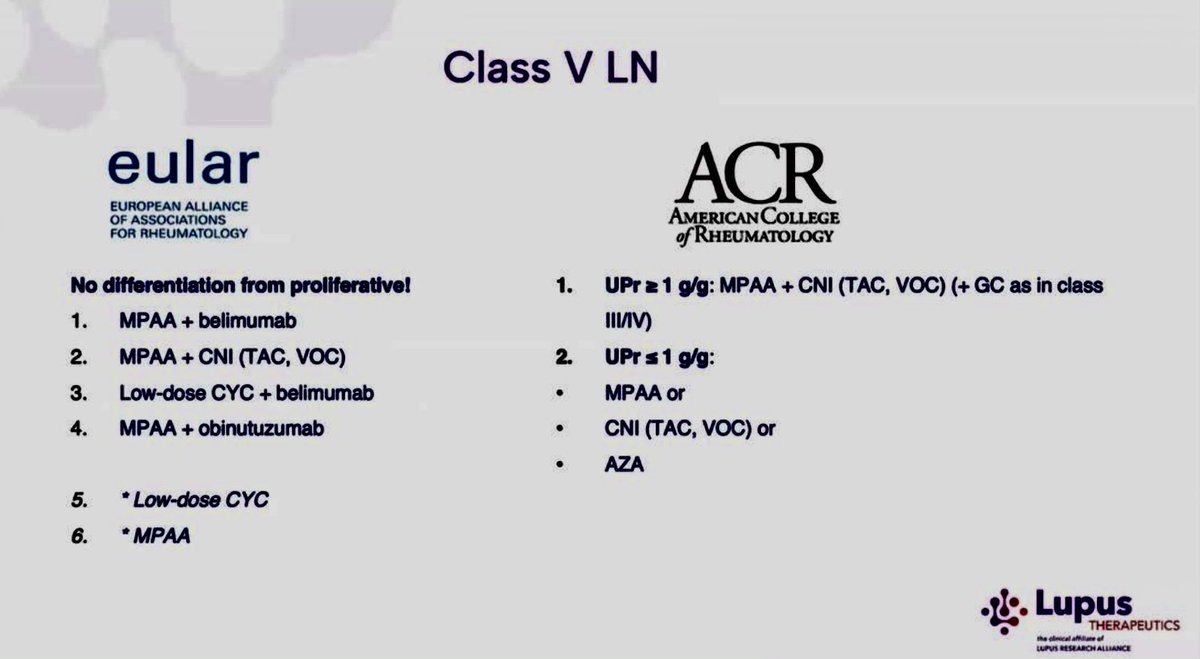 Abdelhamid Hamdy tweet media