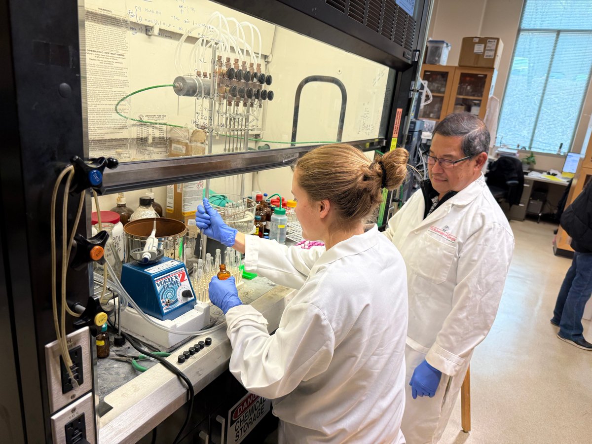 Parastoo Azadi tweet media