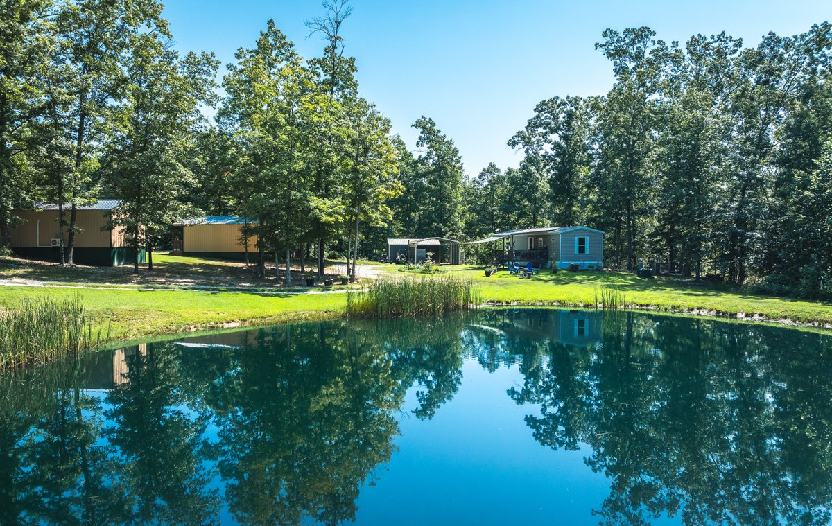 Whitaker Marketing Group tweet media