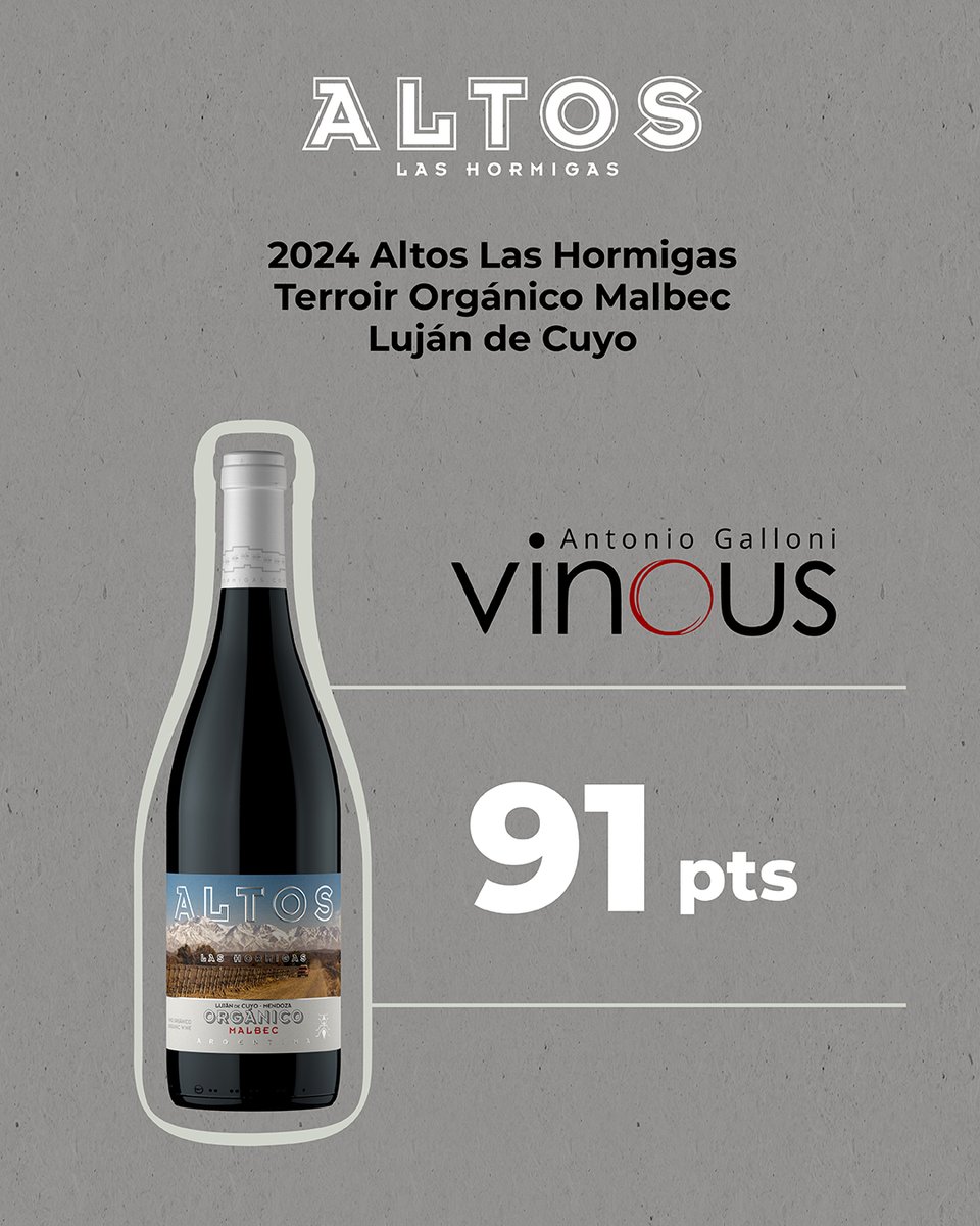 Altos Las Hormigas tweet media