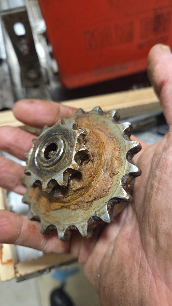 Chris Manton tweet media