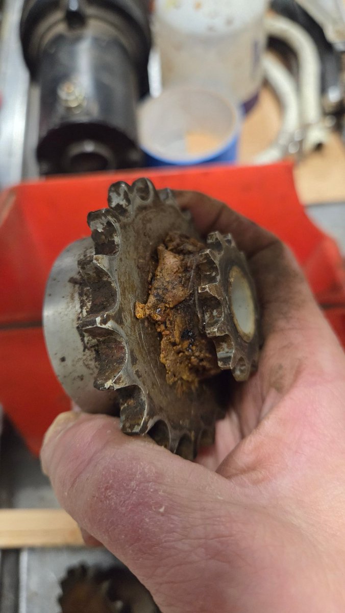 Chris Manton tweet media