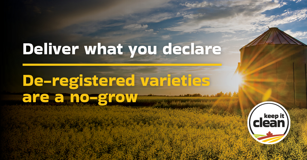 Keep it Clean tweet media