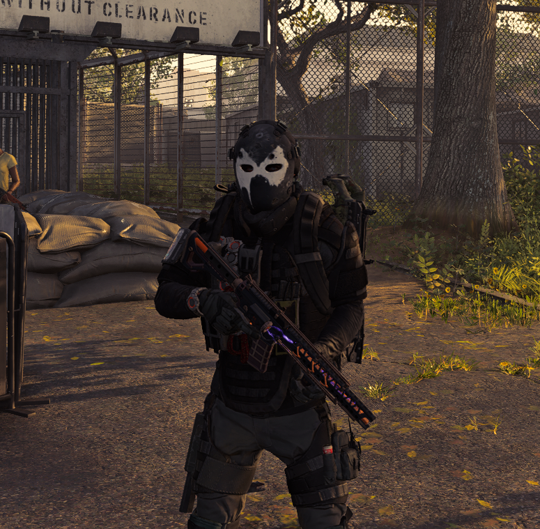 time to get back into this game! #division2