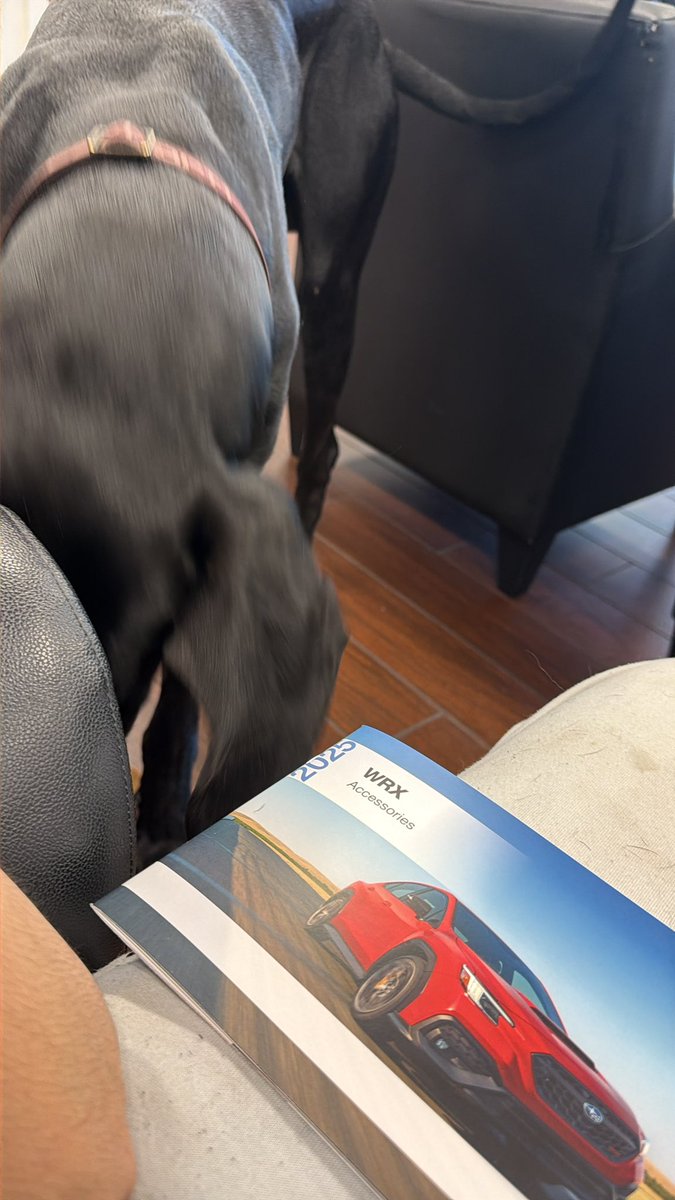 threadoor tweet media