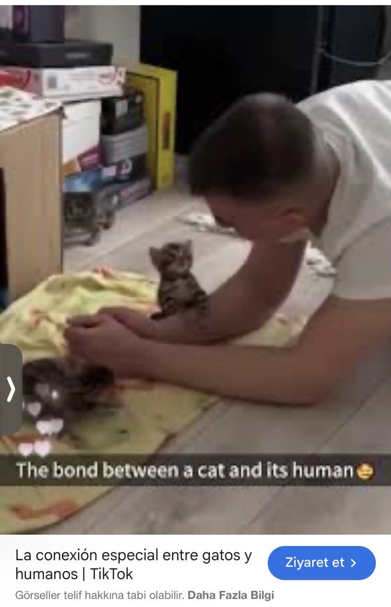 Feride🇪🇸🫶🫶🫶🇹🇷KALİ’nin Annesi 😻💐🌺🌸🍃🍀🌾 tweet media