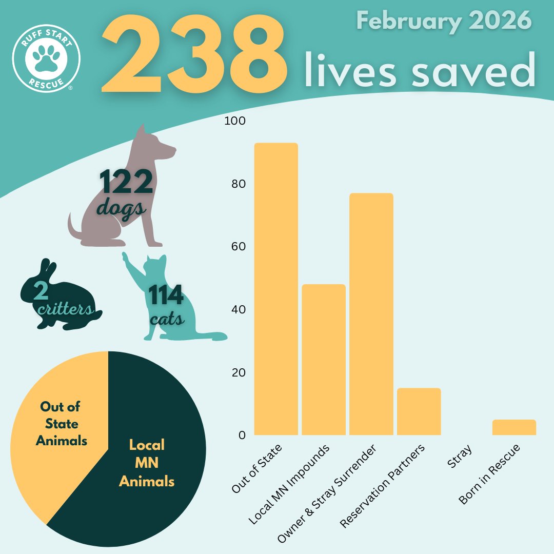 Ruff Start Rescue tweet media