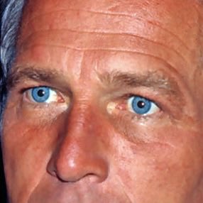 mothman go brrrrr tweet media