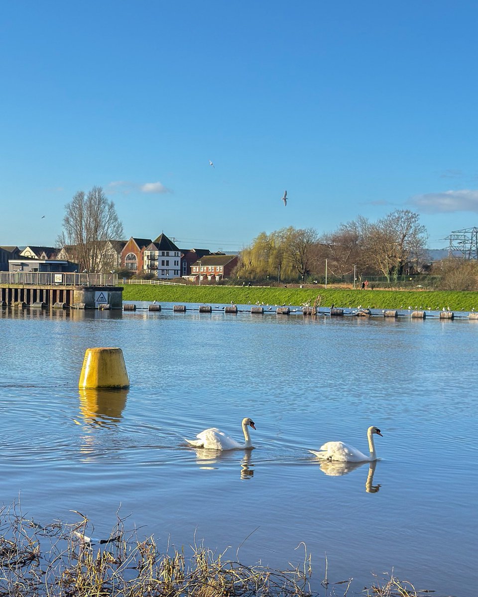 Exeter Daily tweet media