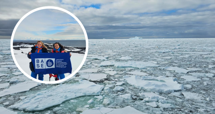 Instituto Milenio BASE tweet media