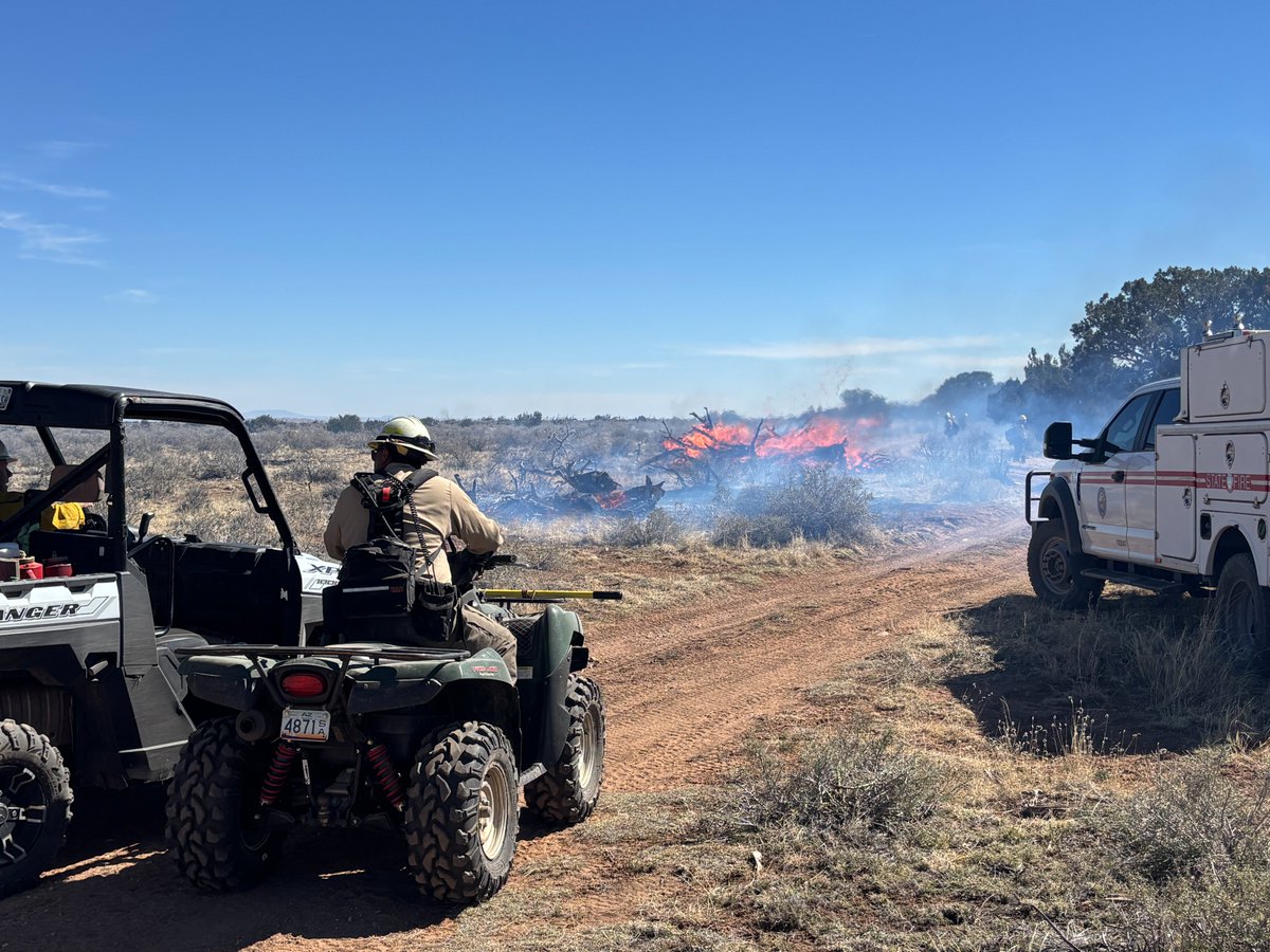 Arizona Forestry has started firing operations on the 534-acre Raymond Prescribed Fire, 25 mi SE of Flagstaff. 

Project objectives on the broadcast burn incl. reducing the risk of catastrophic wildfires &amp; improving bison habitat. 

This project is a collaborative effort