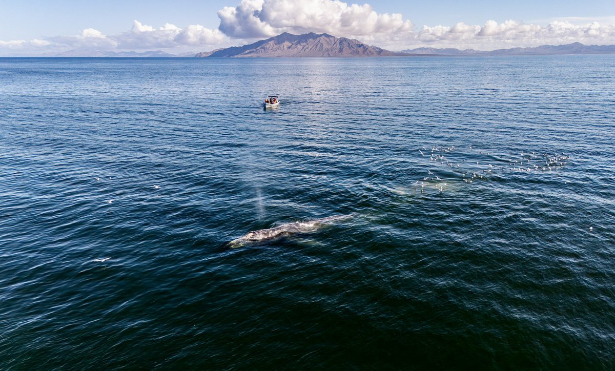 Gerardo L Gerardo-Fotografia tweet media