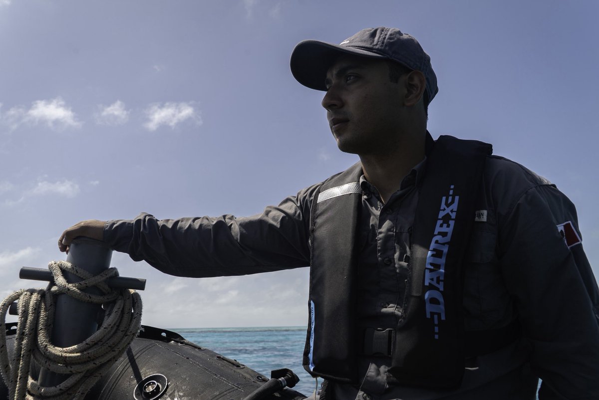 Sea Shepherd US tweet media