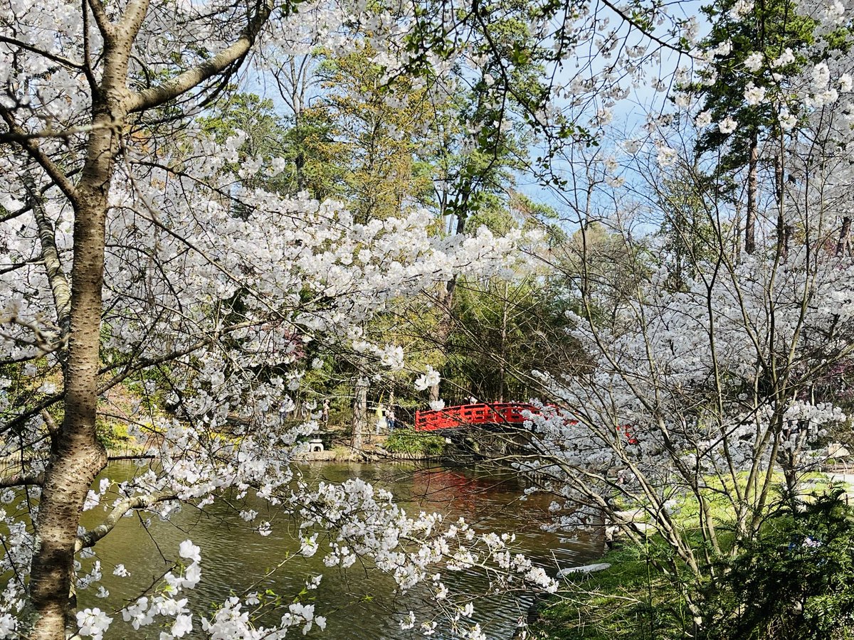 Duke Anesthesiology tweet media