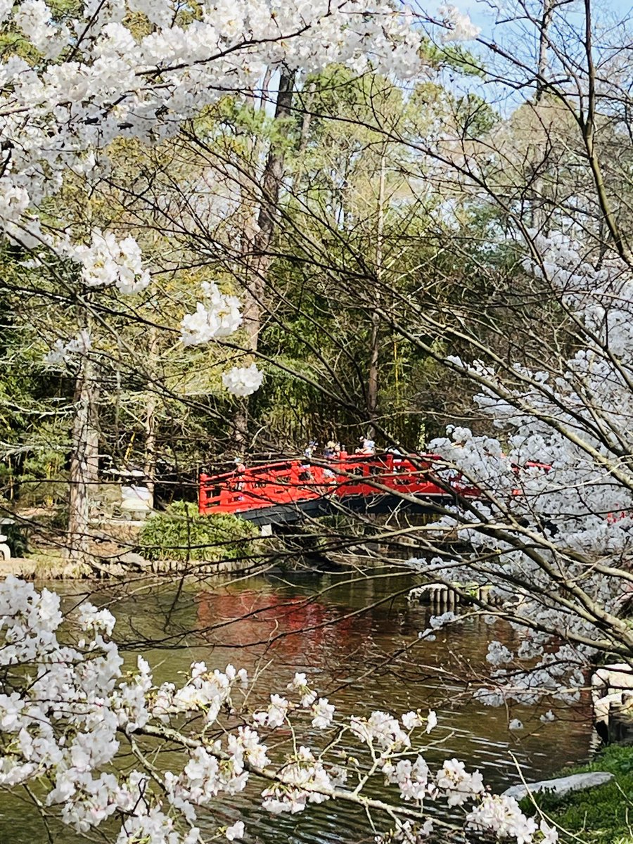 Duke Anesthesiology tweet media