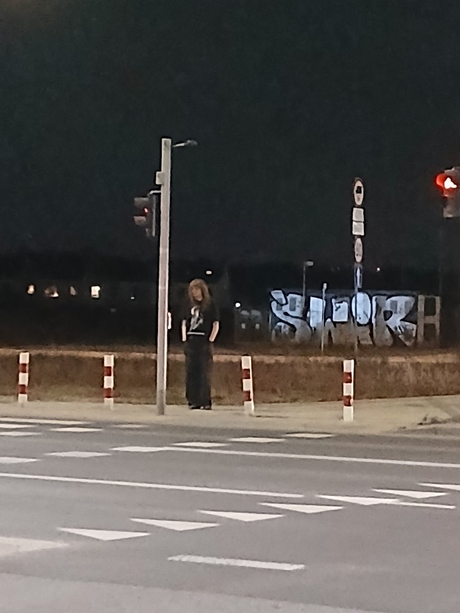 stupid idiot who won't enter the crosswalk within the last 2 ms of the green light