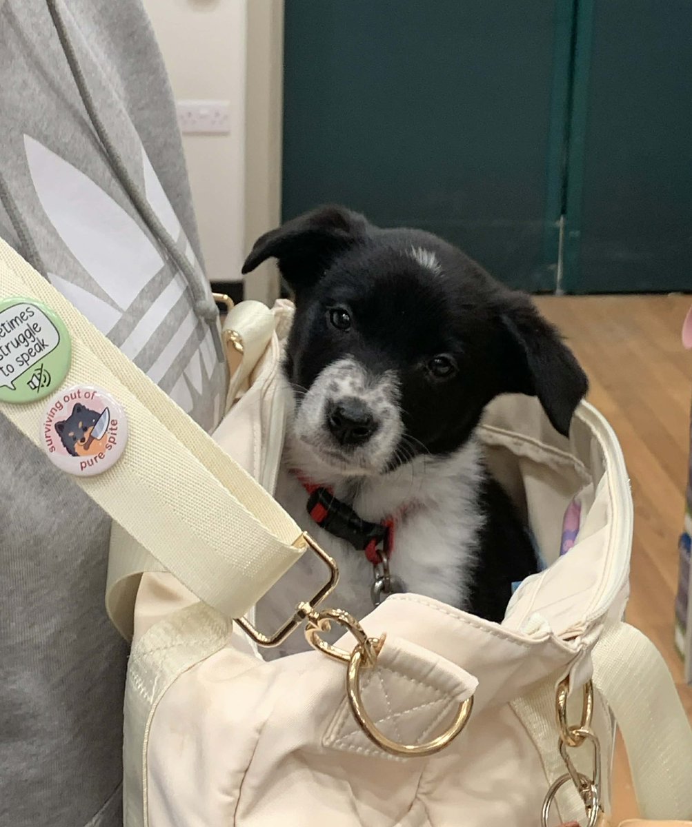 Bored 🍃🦊 tweet media