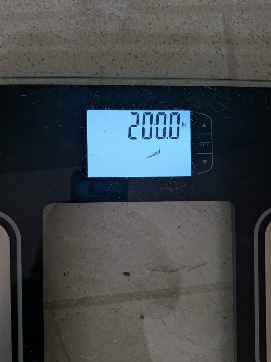 Iateyourpie tweet media