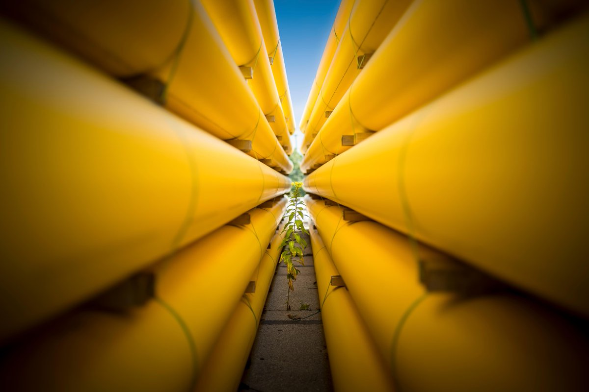 Wisconsin Public Service tweet media