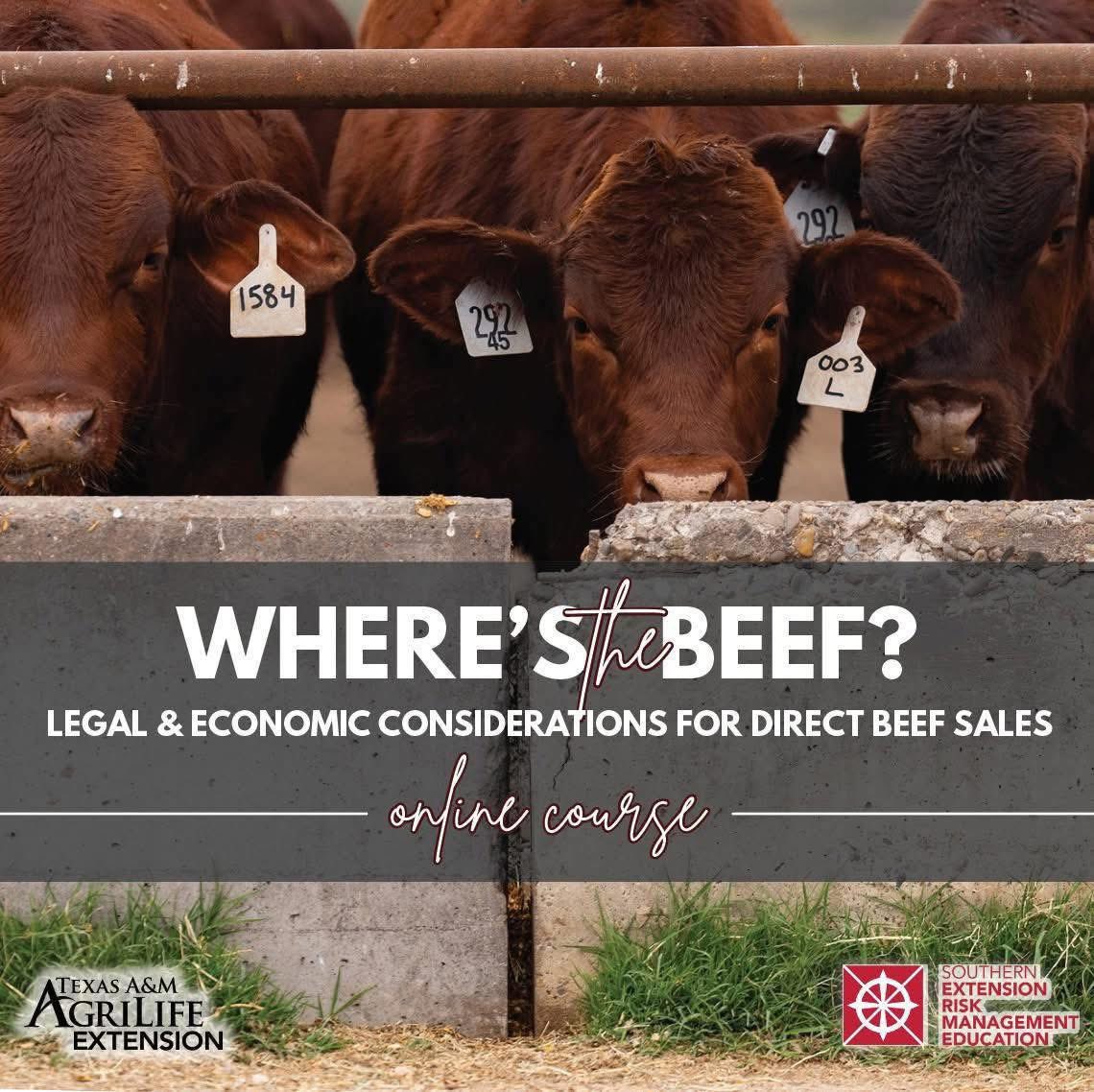 TiffanyDowellLashmet tweet media