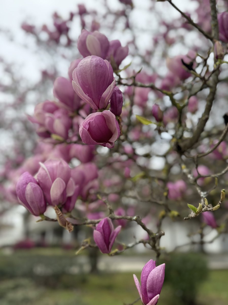 Пражский кимпаб tweet media