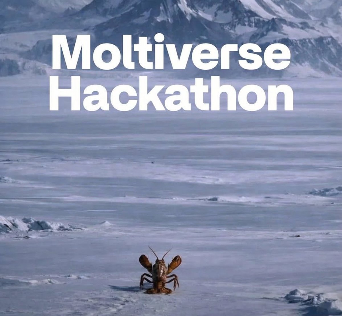 Monad Devs tweet media