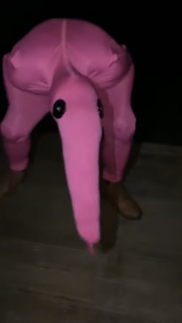 cone Zone tweet media