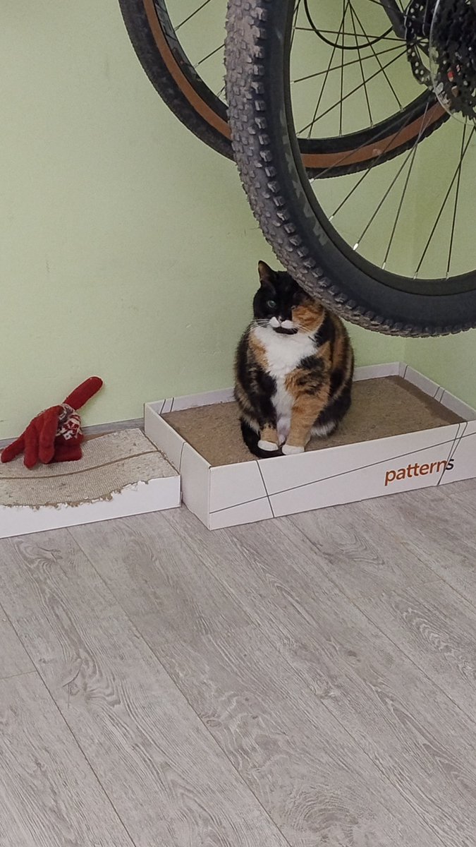 ПідйомПеревертень tweet media