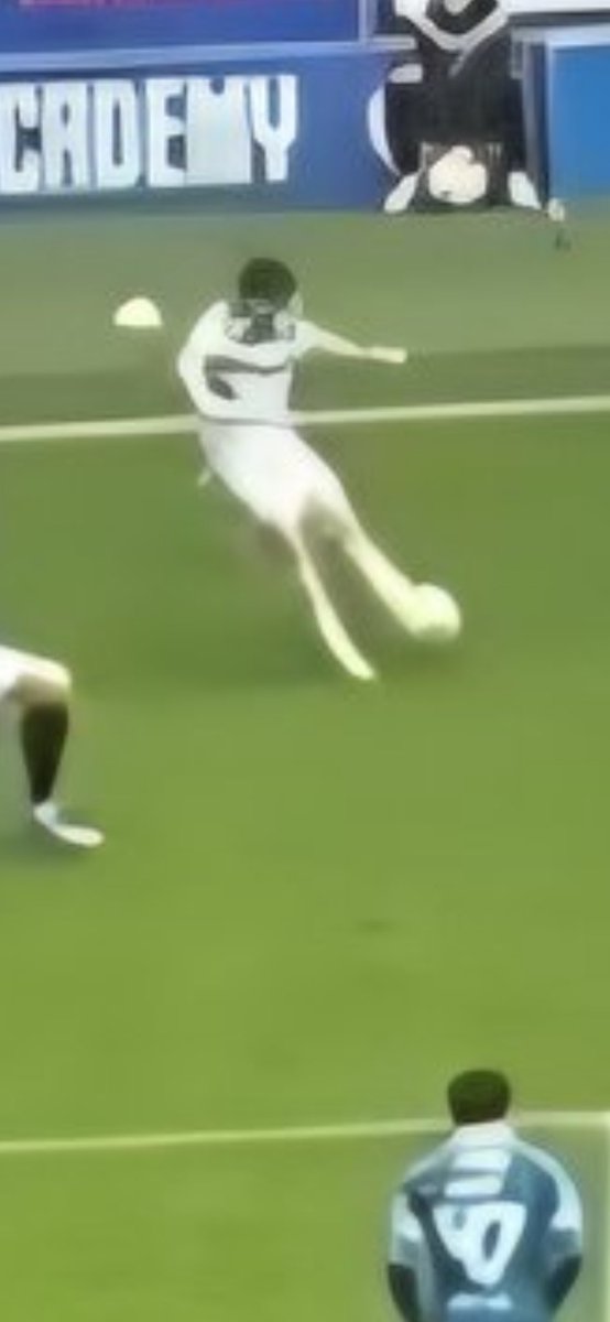 BoJaM 🇬🇧 tweet media