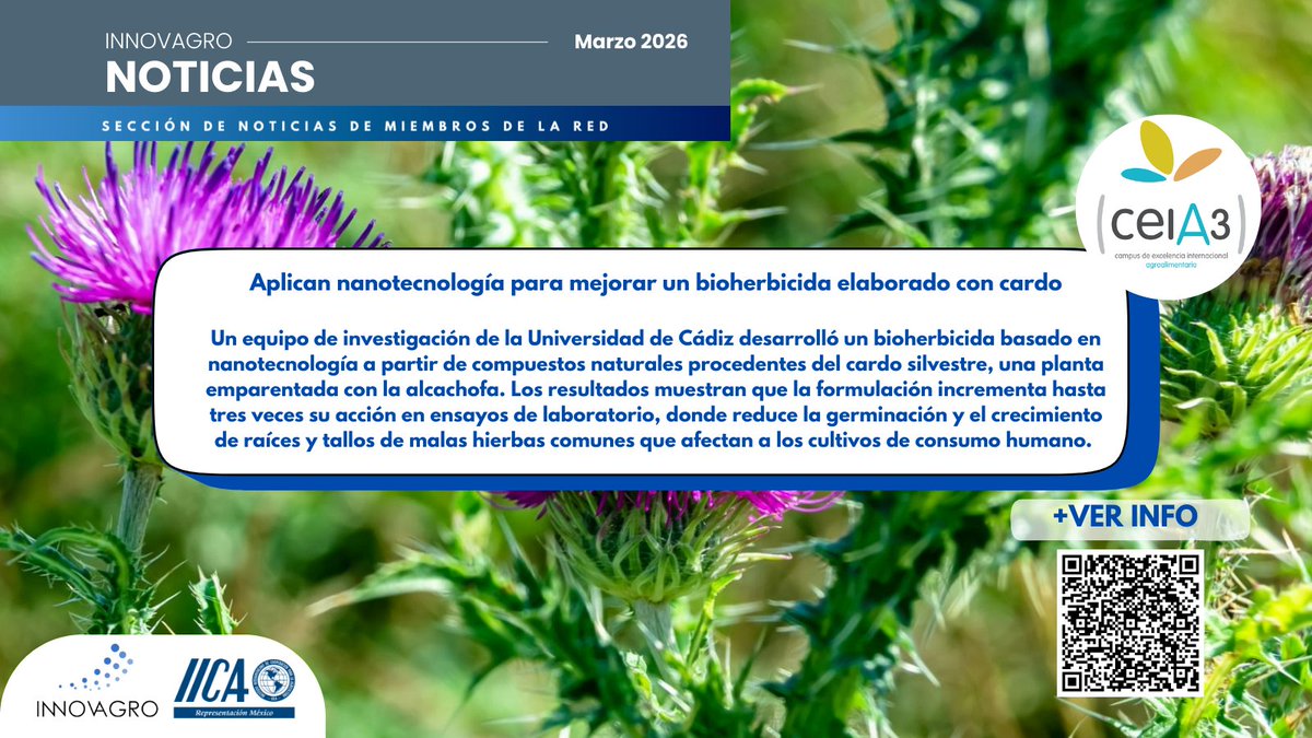 IICA México tweet media