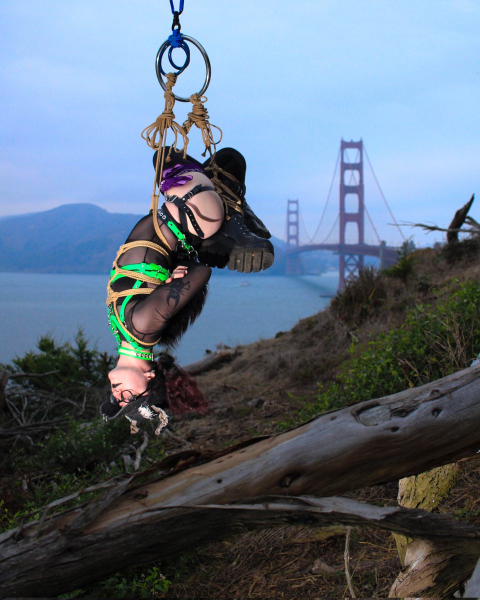 Pocket Devil tweet media