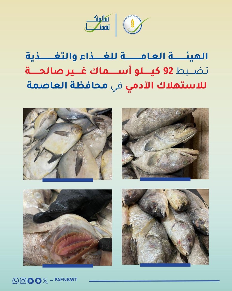 الخط الأخضر tweet media