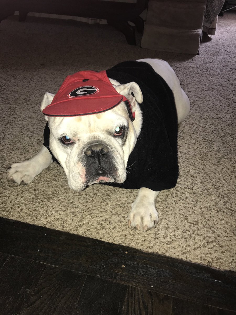 UGA Football Live tweet media