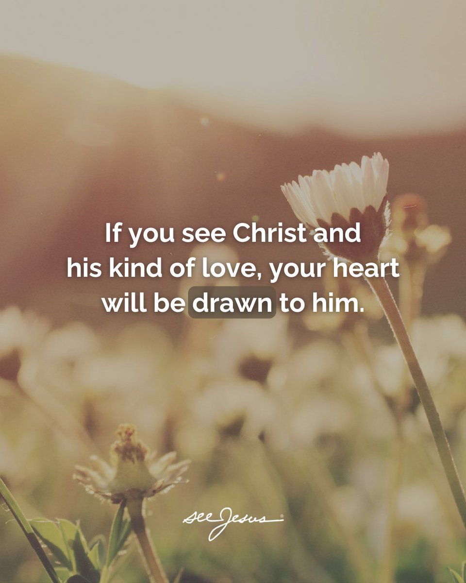 seeJesus's tweet photo. Our prayer is that you've glimpsed the beauty of the person of Jesus this Passion Week — and that seeing Him has drawn your heart to Him anew.

May God bless you as you continue to walk in Jesus' love.

How can we pray for you? 🙏🏼 https://t.co/5uTkBye5vs