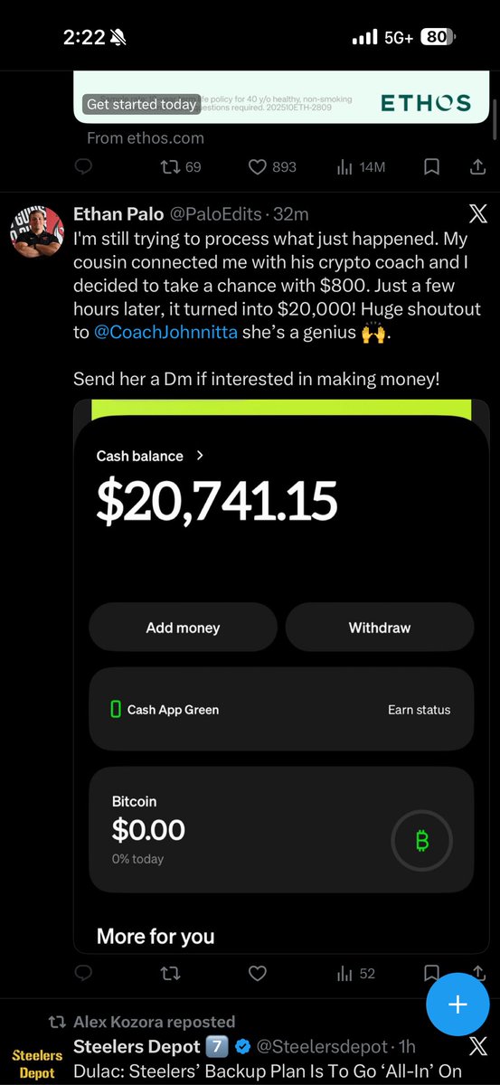 Ethan Palowitz tweet media