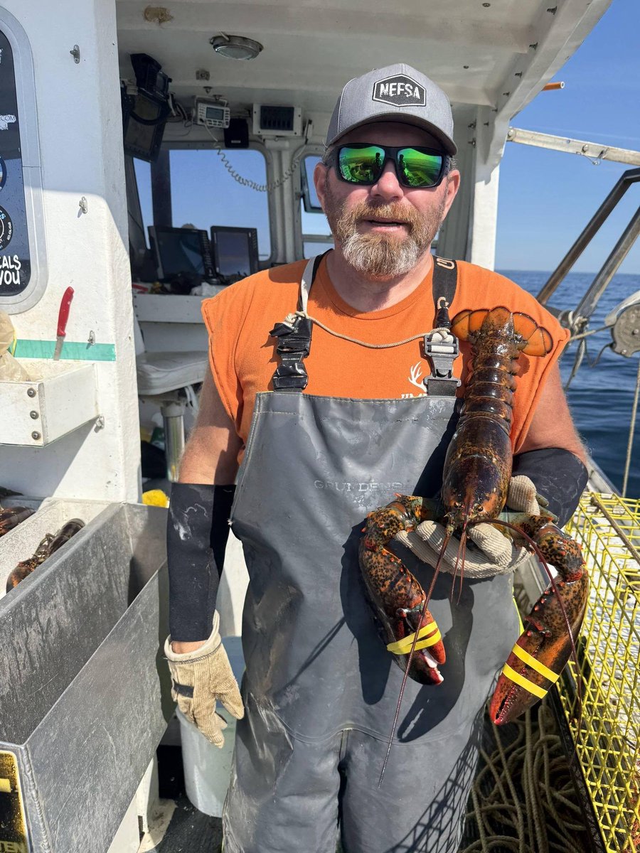 NE Fishermen's Stewardship Assoc. tweet media