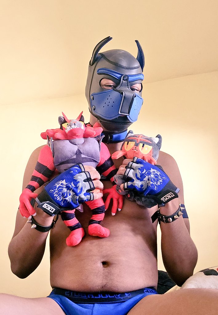 PupwolfV's tweet photo. What's your favorite Pokémon? https://t.co/0ssvjlgwra