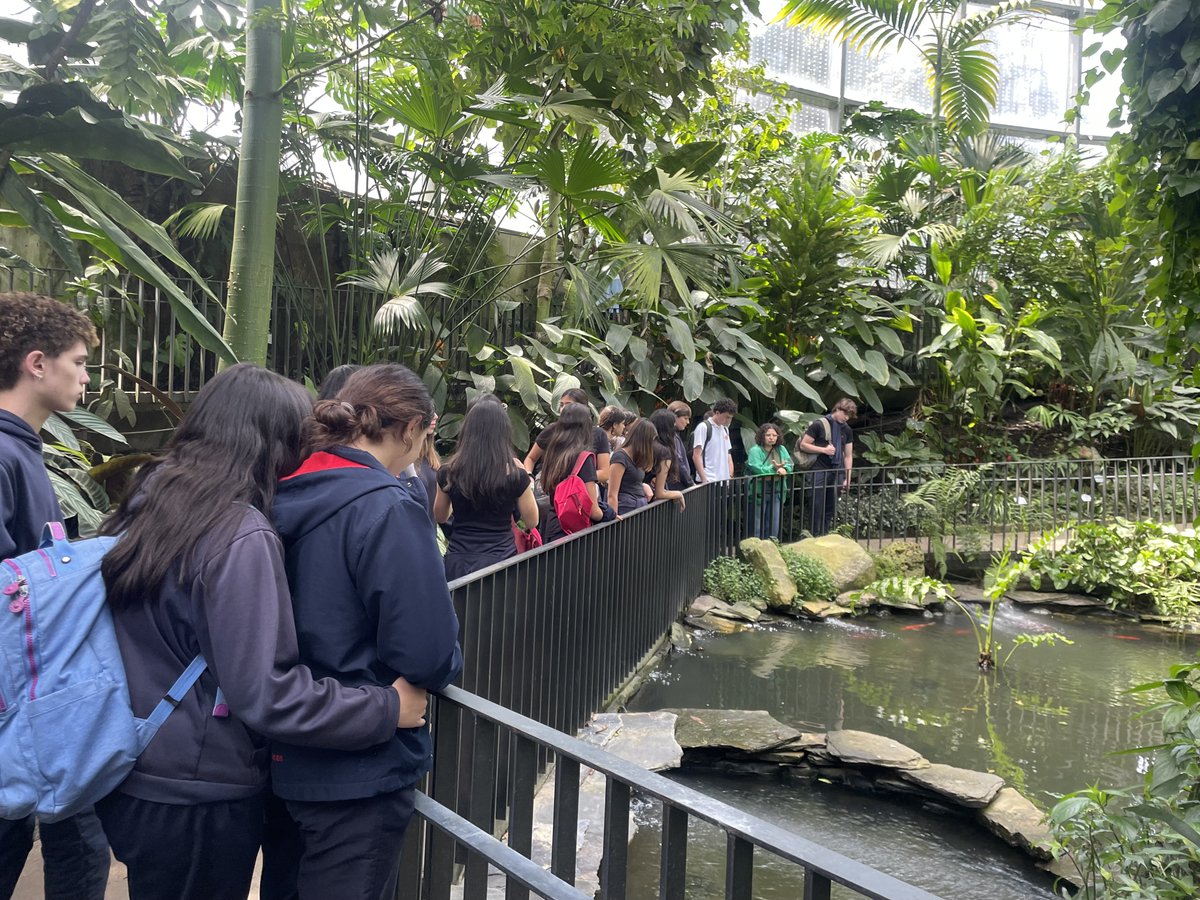 CCEE Reyes Católicos tweet media