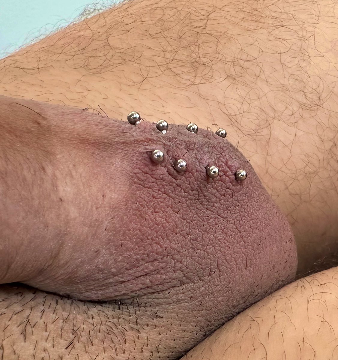 piercedbynatan's tweet photo. Lorun Piercing Project with titanium jewelry. DM ME for infos and bookings #dickpierced #genitalpiercing #pierceddick #dick #piercings https://t.co/PfQEOkObt6