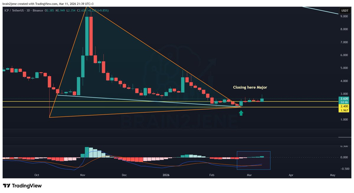 Brain2jene💫 tweet media