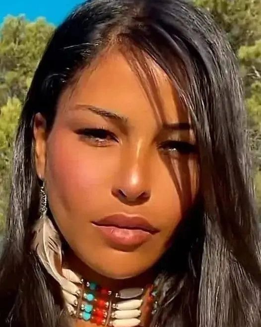 proud_nativeamerican__ tweet media