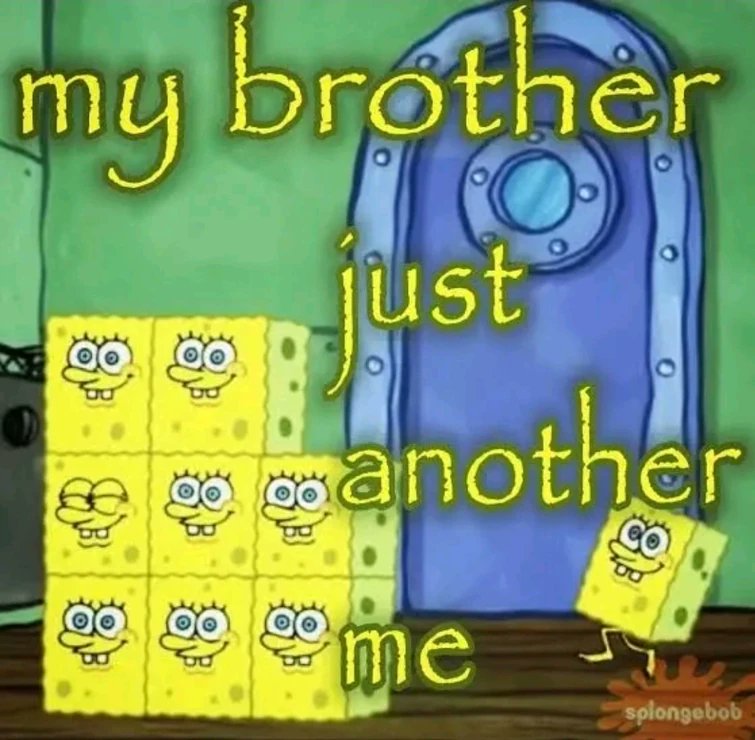 moth (JP) tweet media