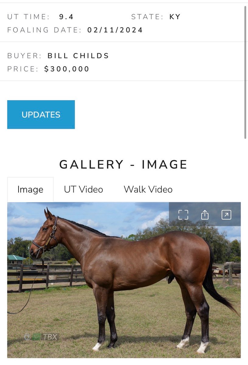 Save Horse Racing tweet media