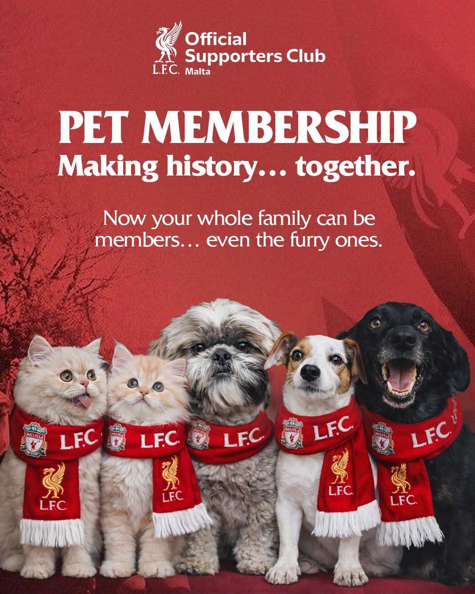 OlscMalta's tweet photo. 🐾🔴 Meet Red Paws Malta!
A new OLSC Malta initiative celebrating our four-legged Reds 🐶❤️

📜 Digital Pet Certificate
📸 Social features
🏆 Pet of the Month
🎉 Pet-friendly events

FREE for members.

Register: https://t.co/FyDZloswLl
#RedPawsMalta #YNWA https://t.co/FKN0jgH3Jd