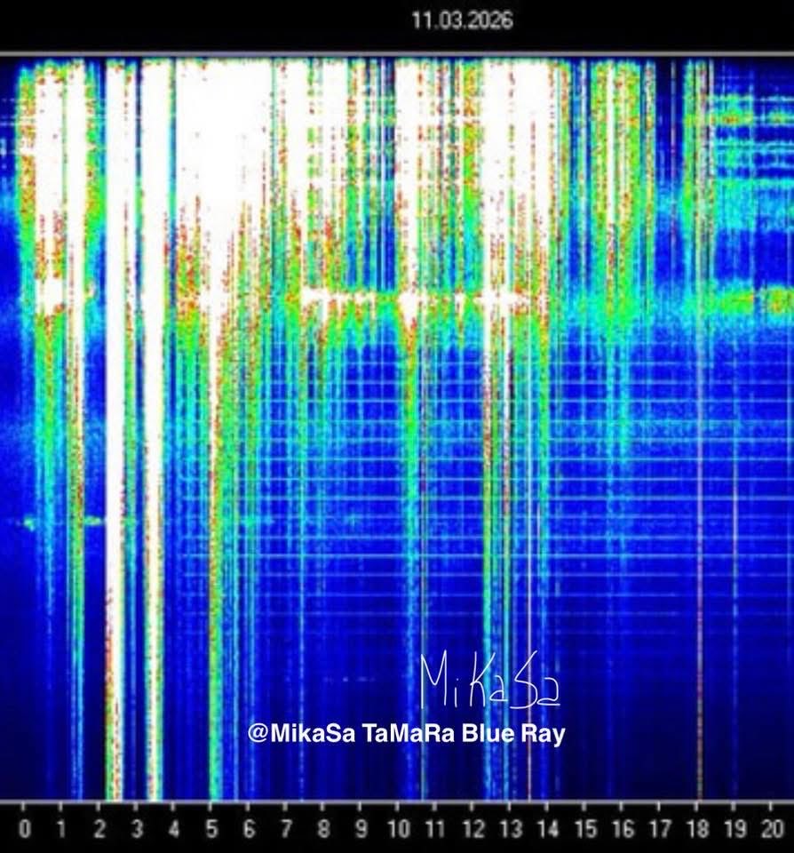 PaulGoldEagle's tweet photo. Heaven on Earth, 11-03-2026. The Divine Architect has arrived. 🔢 Frequency: 222 Master Builder. Schumann chart looks like graph paper squares.

Look at the latest Schumann Resonance. It looks less like a chart and more like Sacred Geometry in motion. Mother Gaia has opened a brand-new notebook and the "Master Blueprint" is being drawn in real-time.

After days of building pressure, we have hit a Total Whiteout. The energy influx is so high it has saturated the sensors. We are literally "off the charts." 

Think of this as celestial "correction fluid," washing away old trauma and outdated timelines to make room for the New Earth.

Look at those perfect tiny squares at the bottom of the chart. In sacred geometry, the Square represents the physical Earth and stability, while the Circle represents the infinite Divine light.

We are witnessing the "Squaring of the Circle". The mystical union where Spirit finally finds a solid home within our physical bodies. This is a massive Architectural Upgrade to our Collective DNA.

While this ”Gridding” square pattern might look extremely structured and ”in order”, our physical vessels on the other hand might feel totally ”out of order”. 

If you went to bed at 5 PM, like me last night, and still woke up feeling jet lagged, like you traveled through ten time zones, you are not alone! Welcome to the club of Ascension Fatigue. 

Symptoms: Intense fatigue, brain fog, spaced out, ungrounded, or find ourselves bumping into things. Or a feeling of being "in-between" worlds. 

We might also experience blurry vision, ringing in the ears or seeing geometric patterns when we close our eyes. 

Physically we might have a heavy, weighted feeling in the limbs, or feel like being "pinned" to the bed (the anchoring process).

Our DNA is responding to these geometric light codes. When the whiteout hits, our body often "shuts down" to integration mode, to prevent a circuit blow-out, forcing us to rest so the upgrades can be "installed".

We are being "squared" (stabilized) so we can hold the "circle" (infinite Divine light).

We are also 10 days out from the Spring Equinox, and the old density is being shaken loose. Earth’s aura is reorganizing itself into a more advanced, geometric harmony. 

Today’s 222 resonance is the Master Builder Blueprint. It’s the frequency of Balance. It’s the Divine Feminine rising to say: It’s okay to stop pushing. The structure is being built for you.

Stay grounded, hydrated and rested tribe. And be gentle with yourself. Your body is doing the heavy lifting of a thousand years in a single week. Blessed be!
/Mikasa Tamara Blue Ray

📸 Image of Schumann Resonance: Courtesy of and Gratitude to App, Tomsk, Novosibirsk, Russia Measuring Station. High frequency Photo Art from SOLar transmissions received and created by me.

#SchumannResonance #Ascension #222Frequency #SacredGeometry #EnergyUpdate #MotherGaia #SquaringTheCircle #NewEarth #MasterBuilder #Ascension #DivineFeminine #TheGridding