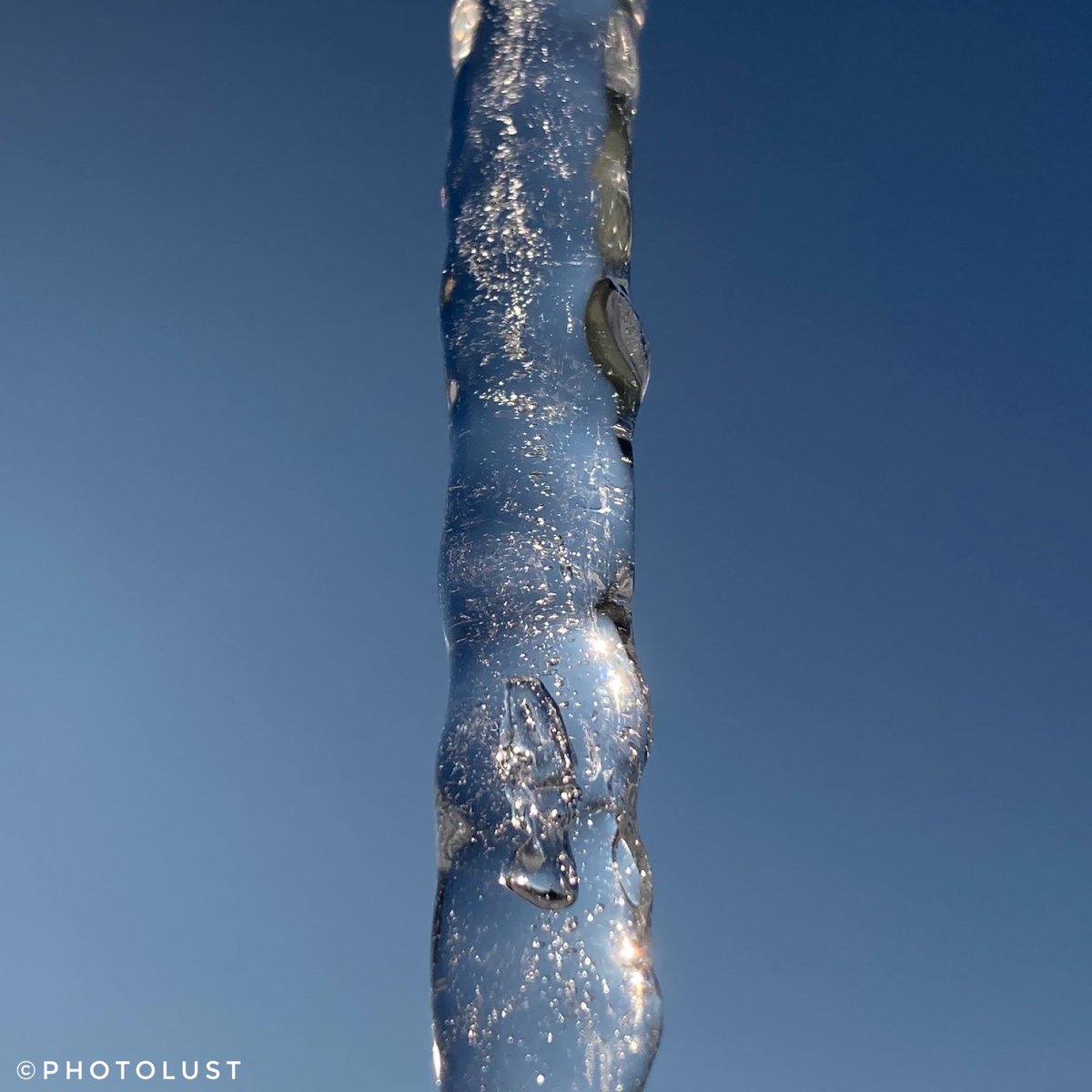 PhotoLust tweet media