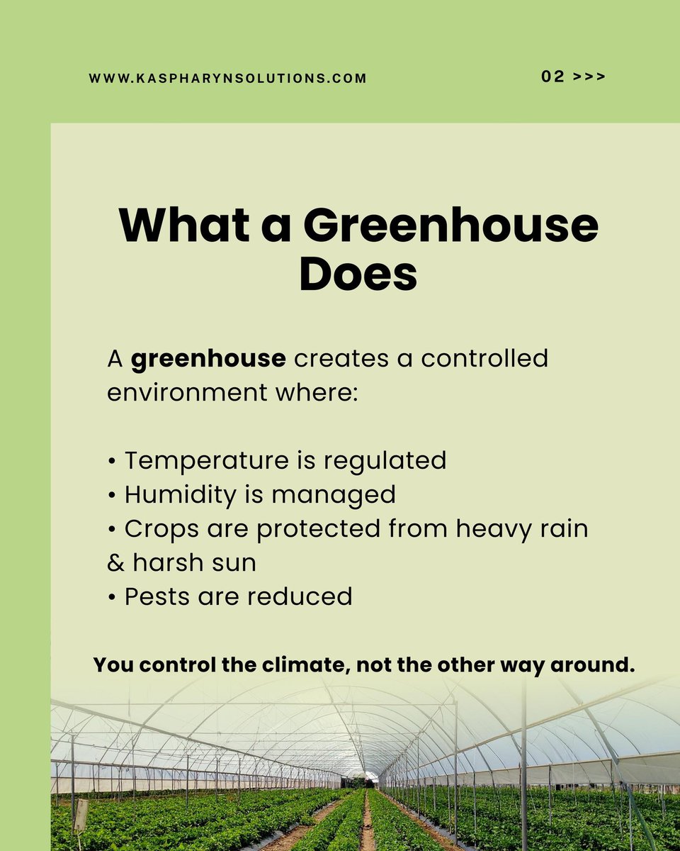 kaspharyn's tweet photo. Greenhouse Farming: Why Smart Farmers are Adopting it Now

.
.

#greenhousetechnology #greenhouseconstructioninnigeria #greenhouseinstallation #greenhousebuilding #greenhousefabricator #greenhousefarmingmasterclass #greenhouse #greenhousefarming #greenhouseacademy https://t.co/Io7xtpUBph